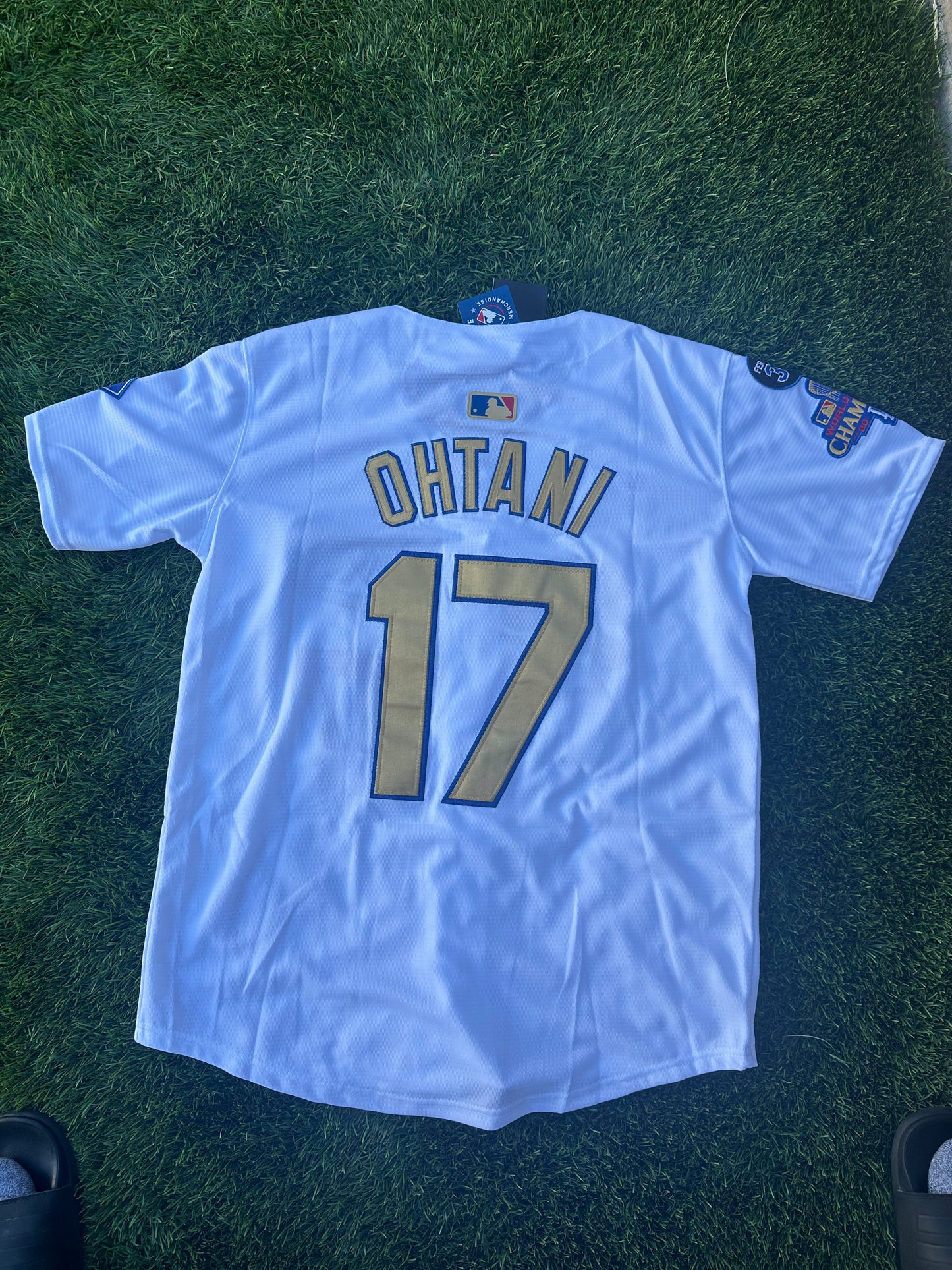 Shohei Ohtani